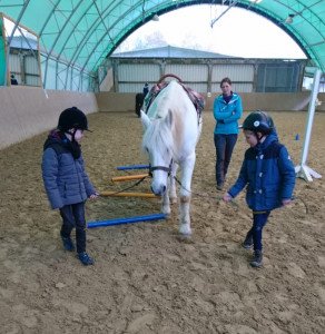 Reiten_1